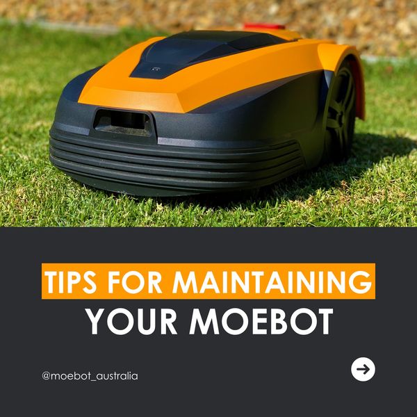 Moebot Robotic Lawn Mower